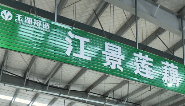 从田间到餐桌，玉湖冷链与江景莲藕共筑品质桥梁