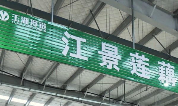 从田间到餐桌，玉湖冷链与江景莲藕共筑品质桥梁