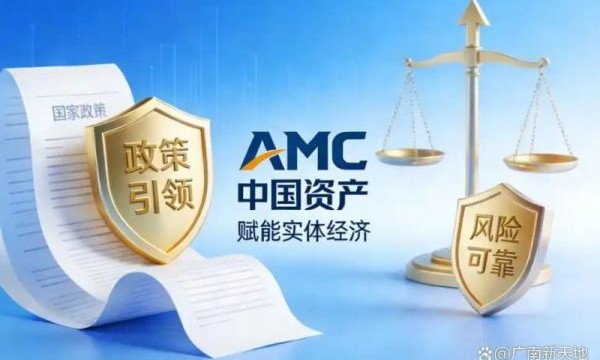 立足政策环境 深化资产治理实践 AMC中国资产持续推进规范化发展